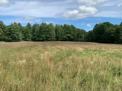 485 5th Concession S, Mississippi Mills, On K0a 2x0