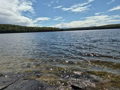 2193 Fern Glen Road, Mcmurrich/monteith, On P0a 1j0