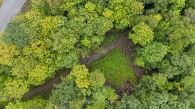 1211 Hawk Valley Road, Algonquin Highlands, On K0m 1j2