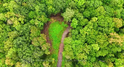 1247 Hawk Valley Road, Algonquin Highlands, On K0m 1j2
