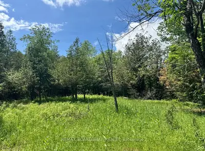 1161 Rosetta Road, Lanark Highlands, On K0g 1k0