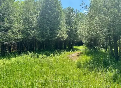 1151 Rosetta Road, Lanark Highlands, On K0g 1k0