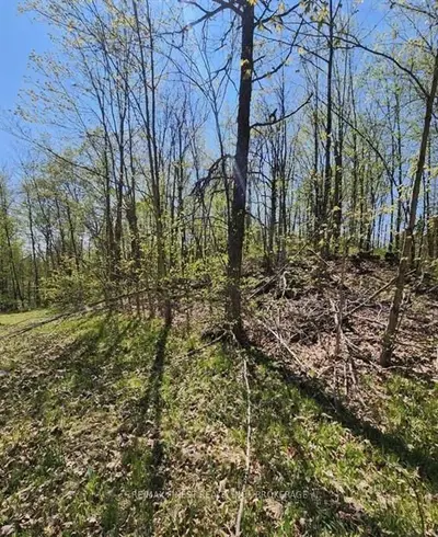 0 Burke Settlement Road, Frontenac, On K0h 2p0