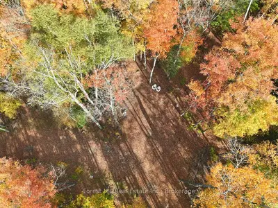 4488 Kawagama Lake Road, Algonquin Highlands, On P0a 1e0