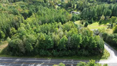 Lot A Trotter Rd Road, North Kawartha, On K0l 1a0