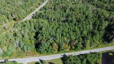 Lot B Trotter Rd Road, North Kawartha, On K0l 1a0