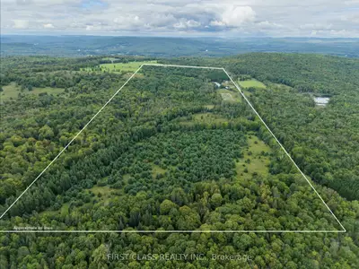 261 Wingle Road, Brudenell, Lyndoch And Raglan, On K0j 2e0