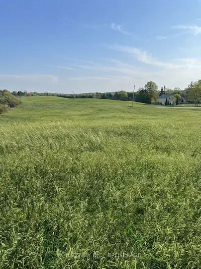 6562 County 4 Road, Stone Mills, On K0k 3g0