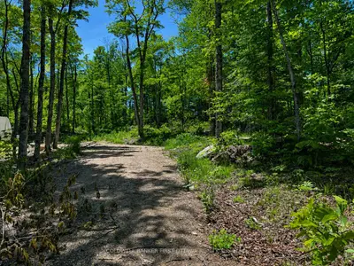 0 Buckshot Lake Road, Addington Highlands, On K0h 1k0