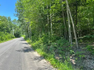 0 Tally Ho Winter Park Road, Lake Of Bays, On P1h 2j3