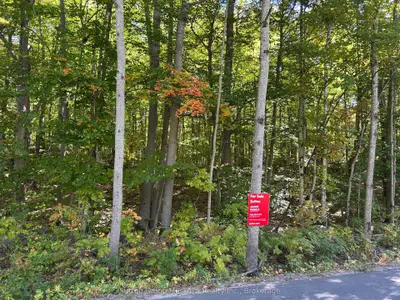 0 Tally Ho Winter Park Road, Lake Of Bays, On P1h 2j3