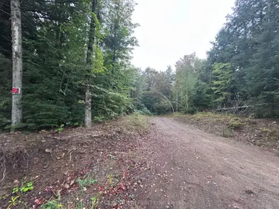 0 Queens Line Road, Minden Hills, On K0m 2k0