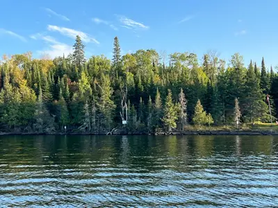 Lot 3 Zigzag Island, Kenora Remote Area, On P0x 1s0