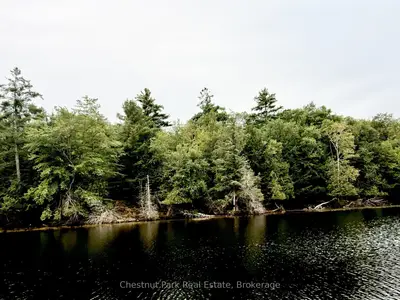 375 Peninsula Road, Muskoka Lakes, On P0b 1j0