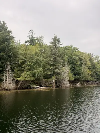 375 Peninsula Road, Muskoka Lakes, On P0b 1j0