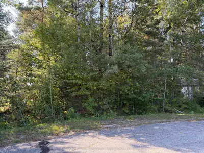 42 Tebby Boulevard, South River, On P0a 1x0