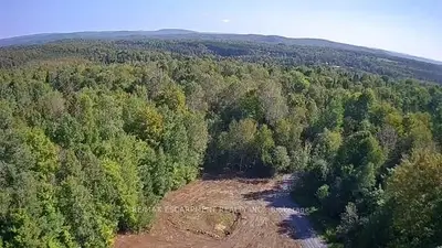 3275 Musclow-greenview Road, Hastings Highlands, On K0l 1c0