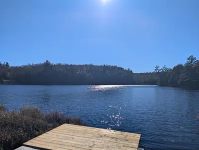 1739 Fraserburg Road, Bracebridge, On P1l 1x3