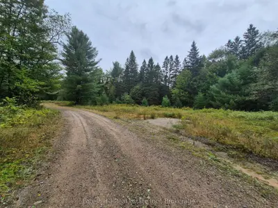 335 Woodland Drive, Mcmurrich/monteith, On P0p 1b0