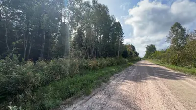 Lot 29 Concession 2, Grand Desert Road, Bonfield, On P0h 2e0