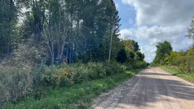 Lot 29 Concession 2, Grand Desert Road, Bonfield, On P0h 2e0