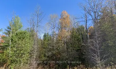 93 Mccleary Road, Marmora And Lake, On K0k 2m0