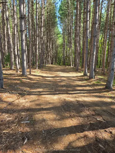 292 Hartin Road, Addington Highlands, On K0h 2g0