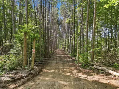 292 Hartin Road, Addington Highlands, On K0h 2g0