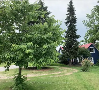393 CANBORO Road, Pelham, ON L0S 1M0