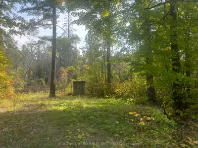 0 Pineview Court, Marmora And Lake, On K0k 2m0
