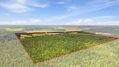 84781 Prosperity Line, Ashfield-colborne-wawanosh, On N0m 1e0