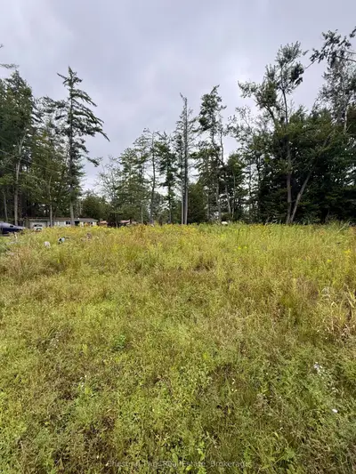 1004 Chippawa Avenue, Gravenhurst, On P1p 1r1