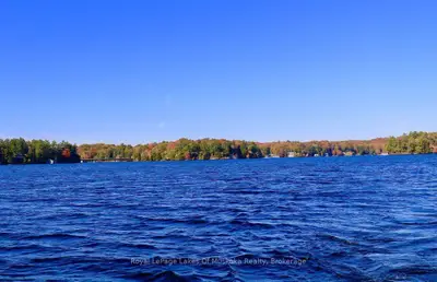 12 Severn River Shore, Muskoka Lakes, On P0c 1m0