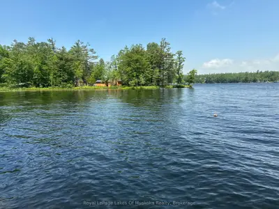 12 Severn River Shore, Muskoka Lakes, On P0c 1m0