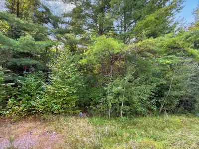 4900 County Rd 4, Stone Mills, On K0k 1z0