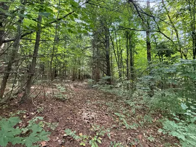4900 County Rd 4, Stone Mills, On K0k 1z0