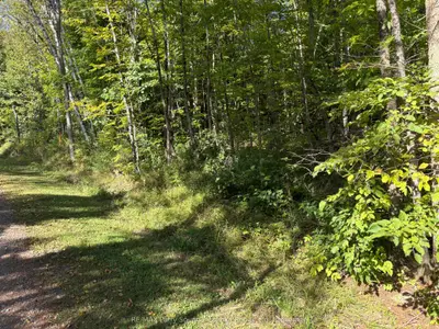 0 Pine Road, Magnetawan, On P0a 1a0