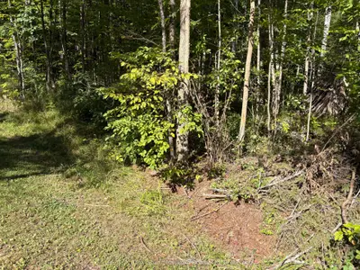 0 Pine Road, Magnetawan, On P0a 1a0