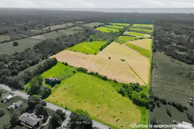 2650 County Road 13, Prince Edward County, On K0k 2t0
