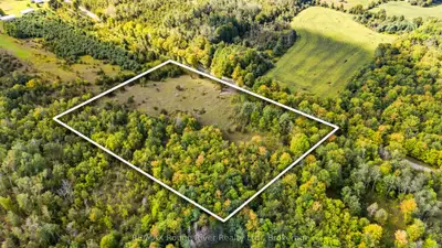 1321 Crowe River Road N, Trent Hills, On K0l 1l0