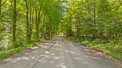 1321 Crowe River Road N, Trent Hills, On K0l 1l0