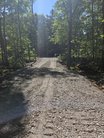 48 Marble Point Road, Marmora And Lake, On K0k 2m0