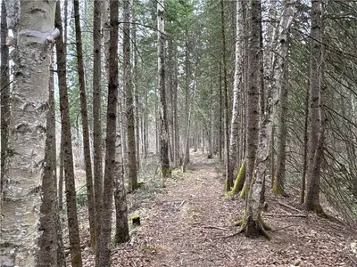 1014 Bulrush Trail, Highlands East, On K0m 1r0