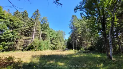 1059 Ablett Court, Algonquin Highlands, On K0m 1s0