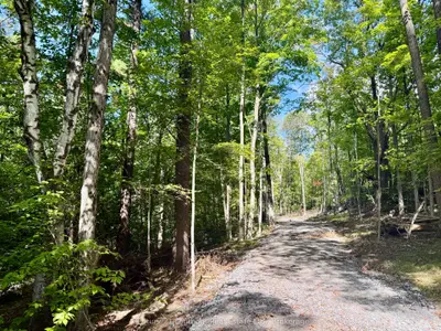 00 North Lot Highway 62, Madoc, On K0k 2k0