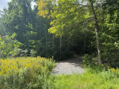 00 South Lot Highway 62, Madoc, On K0k 2k0