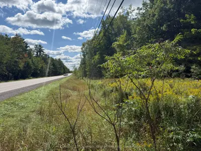 00 South Lot Highway 62, Madoc, On K0k 2k0