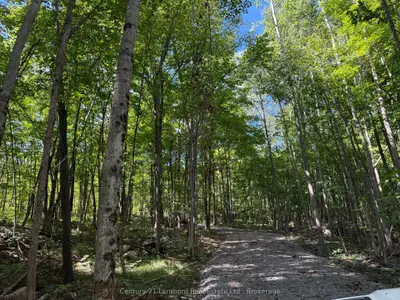 00 Middle Lot Highway 62, Madoc, On K0k 2k0