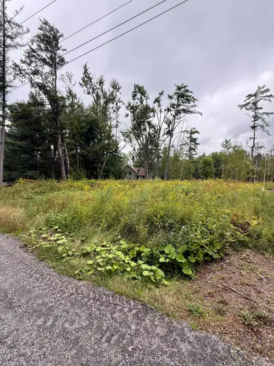 1006 Chippawa Avenue, Gravenhurst, On P1p 1r1