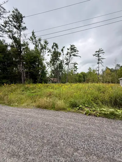 1006 Chippawa Avenue, Gravenhurst, On P1p 1r1